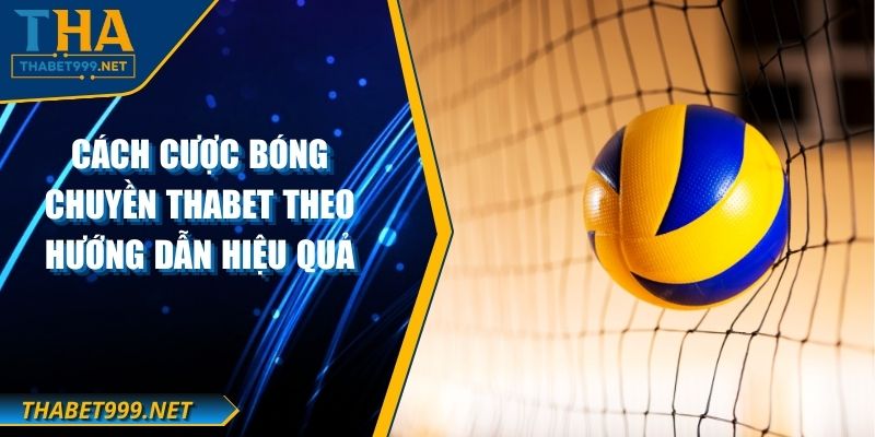 Cách Cược Bóng Chuyền THABET Theo Hướng Dẫn Hiệu Quả 1 Cách Cược Bóng Chuyền THABET Theo Hướng Dẫn Hiệu Quả