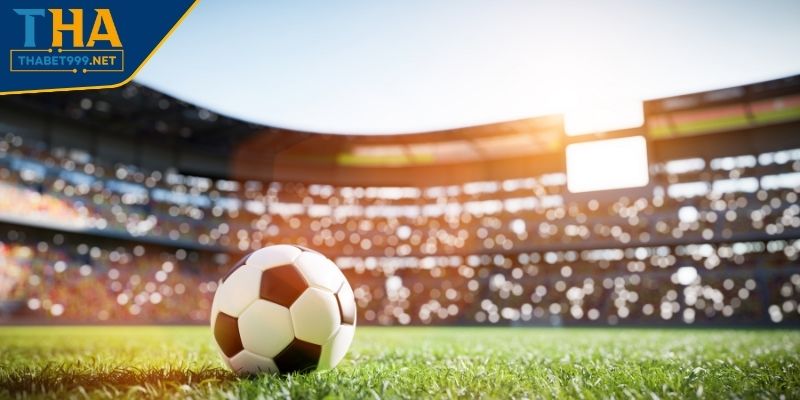 Cách cược tài xỉu bóng đá theo tài