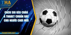 Cách Soi Kèo Châu Á THABET Chuẩn Xác Cho Người Chơi Mới
