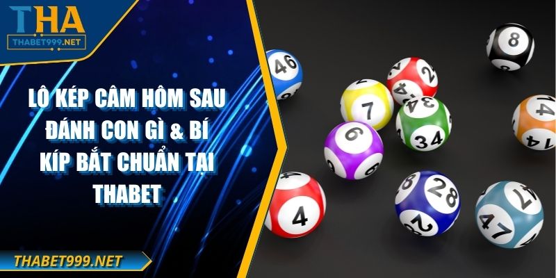Lô Kép Câm Hôm Sau Đánh Con Gì & Bí Kíp Bắt Chuẩn Tại THABET 1 Lô Kép Câm Hôm Sau Đánh Con Gì & Bí Kíp Bắt Chuẩn Tại THABET