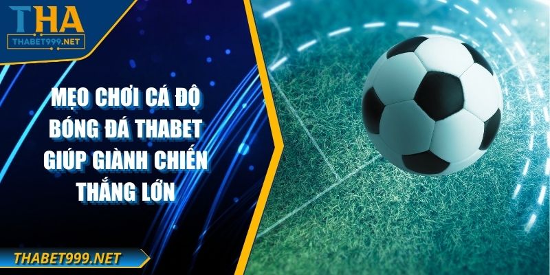 Mẹo Chơi Cá Độ Bóng Đá THABET Giúp Giành Chiến Thắng Lớn 1 Mẹo Chơi Cá Độ Bóng Đá THABET Giúp Giành Chiến Thắng Lớn